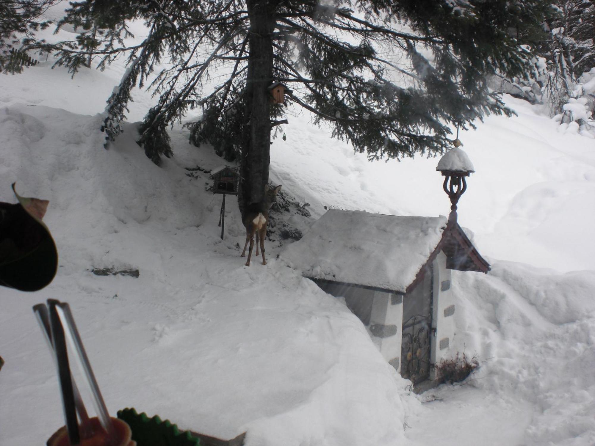 Haus Waldheim Hotel Sankt Leonhard im Pitztal Eksteriør billede